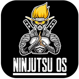 Windows 10 Pro Ninjutsu