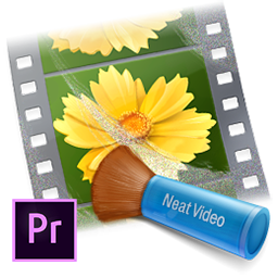 ABSoft Neat Video Pro 6.0.5 for Adobe Premiere