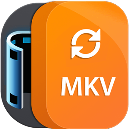 Aiseesoft MKV Converter 9.2.22