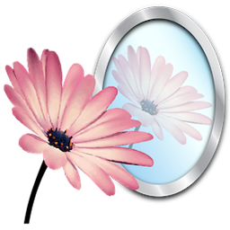PhotoReflector 1.1.0