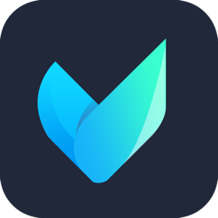 Vidmore Video Converter 2.3.60