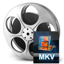 Xilisoft MKV Converter 7.8.26